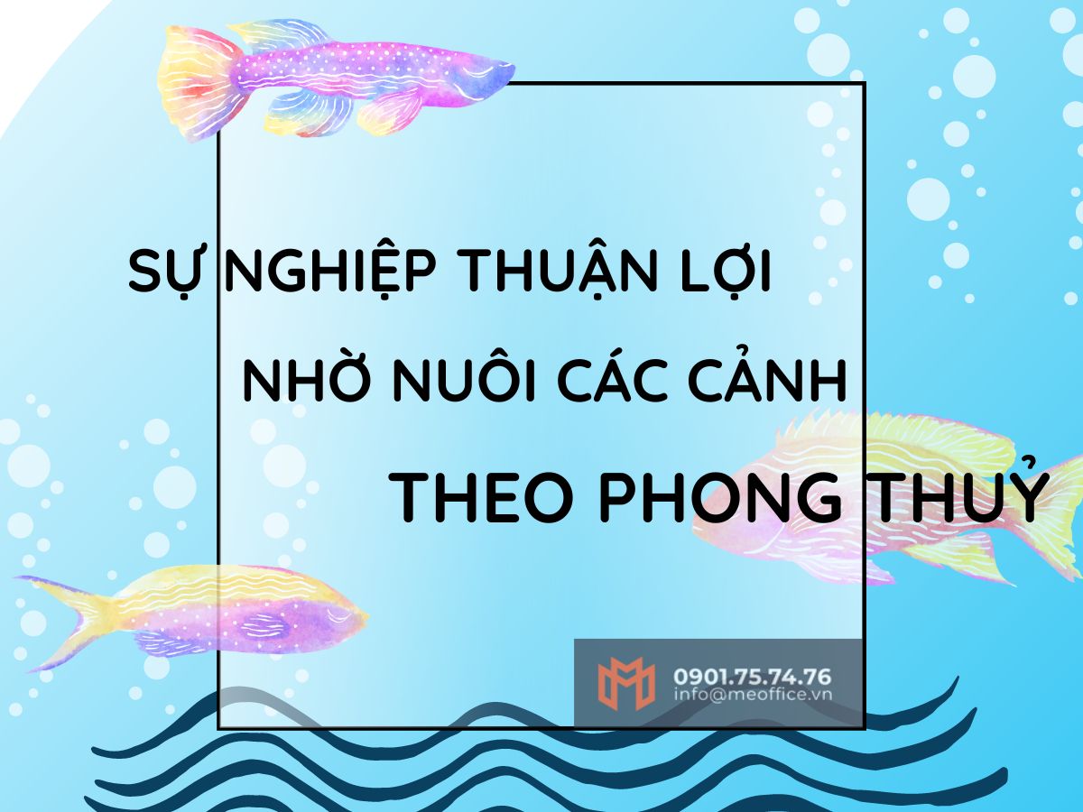 Sự nghiệp đi lên nhờ nuôi cá cảnh theo phong thủy