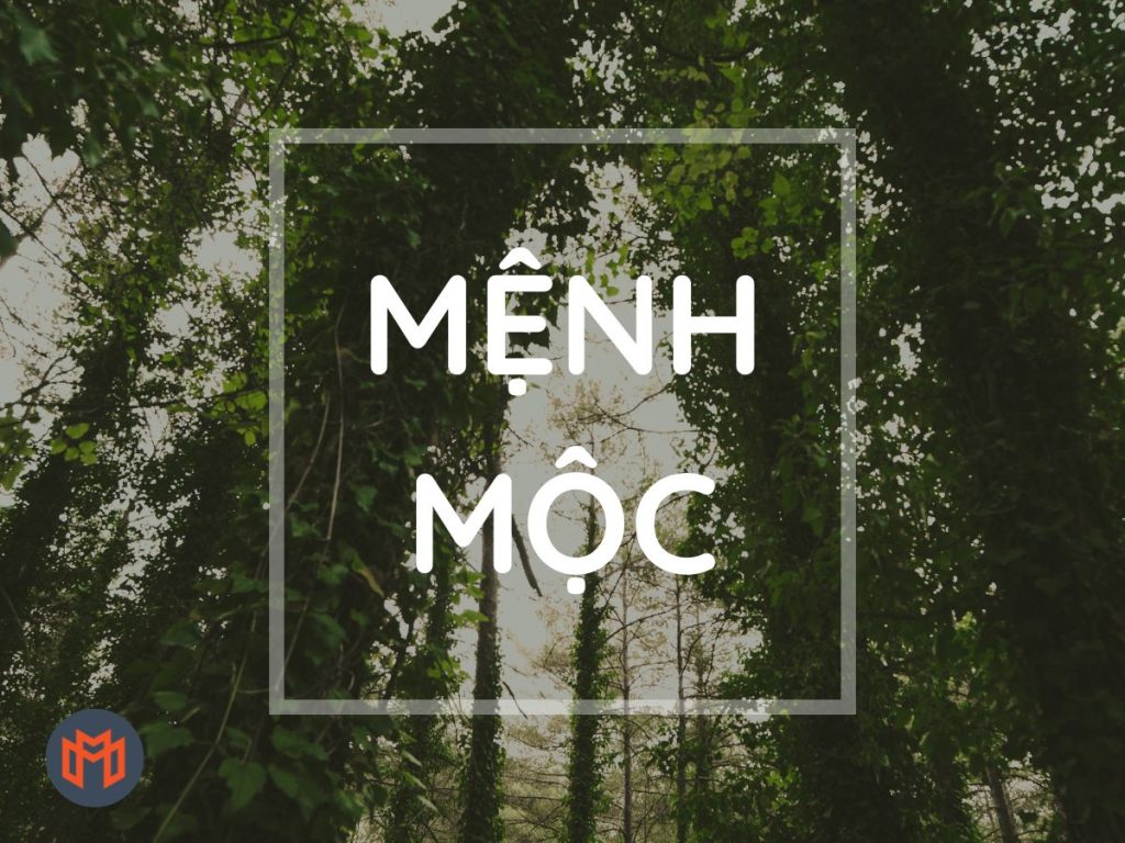 menh-moc-meoffice.vn