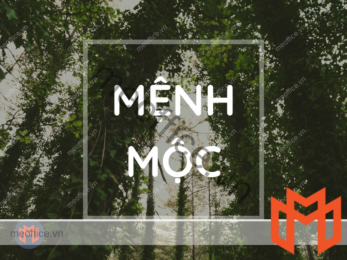 menh-moc-meoffice.vn