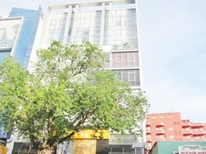 ct-in-building-435-hoang-van-thu-phuong-4-quan-tan-binh-van-phong-cho-thue-meoffice.vn-bia