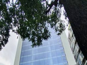 saigon-first-house-257-dien-bien-phu-phuong-vo-thi-sau-quan-3-van-phong-cho-thue-vanphong.me-bia