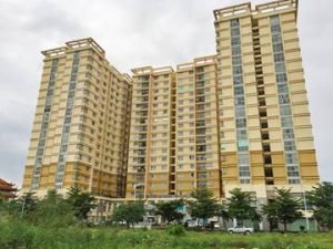 chung-cu-petroland-02-duong-62-phuong-binh-trung-dong-quan-2-thanh-pho-thu-duc-van-phong-cho-thue-meoffice.vn-bia