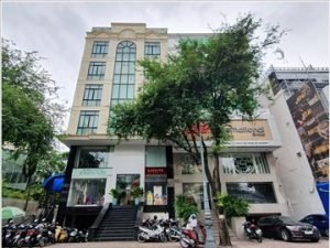 Ảnh bìa văn phòng cho thuê Phạm Việt Building (149B Trương Định, Phường 9, Quận 3) - Hotline 0901.75.74.76