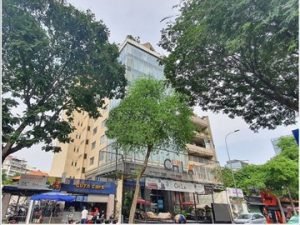 Ảnh bìa văn phòng cho thuê Tòa nhà 112-118 Hai Bà Trưng (112-118 Hai Bà Trưng, Phường Đa Kao, Quận 1) - Hotline 0901.75.74.76